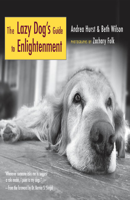 The Lazy Dog's Guide to Enlightenment, Beth Wilson