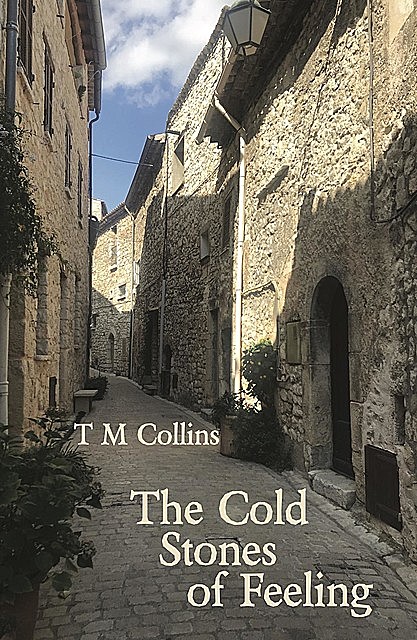 The Cold Stones of Feeling, T.M. Collins