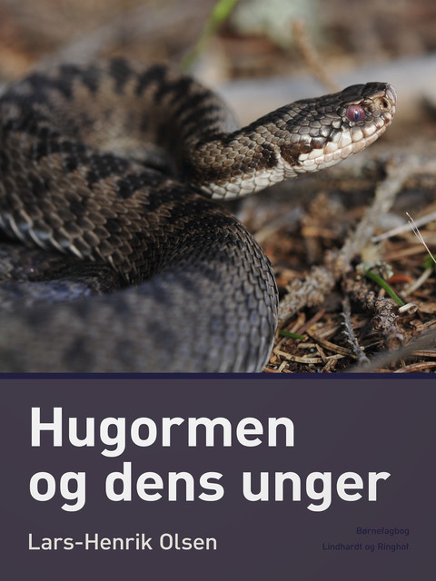 Hugormen og dens unger, Lars-Henrik Olsen