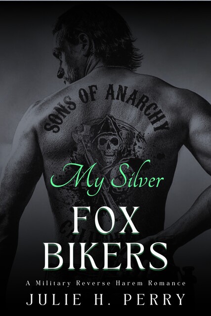 My Silver Fox Bikers, Julie Perry