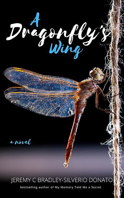 A Dragonfly's Wing, Jeremy C Bradley-Silverio Donato