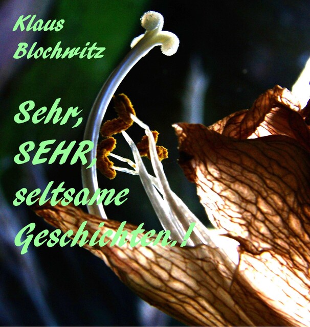 Sehr, SEHR, seltsame Geschichten, Klaus Blochwitz