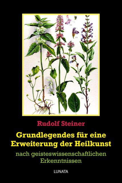 Grundlegendes zur Erweiterung der Heilkunst, Rudolf Steiner