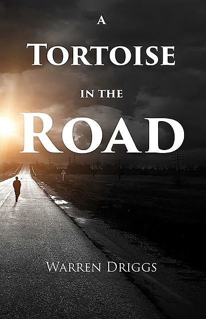 A Tortoise in the Road, Warren Driggs