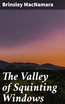 The Valley of Squinting Windows, Brinsley MacNamara