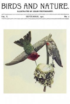 Birds and Nature, Vol 10 No. 2, Various
