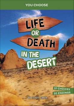 Life or Death in the Desert, Elliott Smith