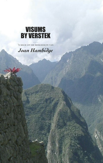 Visums by verstek, Joan Hambidge