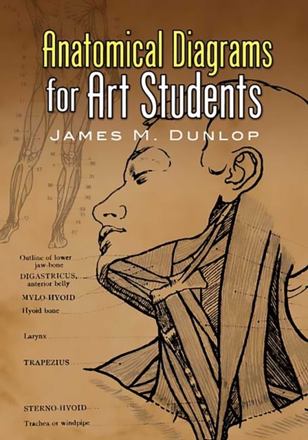 Anatomical Diagrams for Art Students, James M.Dunlop