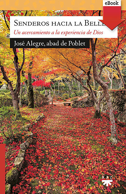 Senderos hacia la belleza, José Alegre Vilas