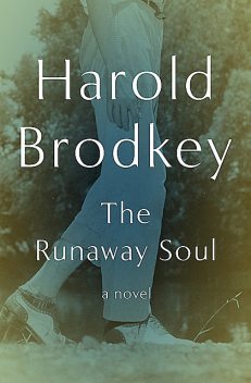 The Runaway Soul, Harold Brodkey
