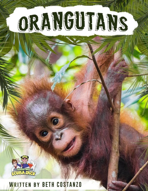 Orangutan Activity Workbook for Kids age 4–8, Beth Costanzo