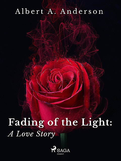 Fading of the Light: A Love Story, Albert A. Anderson