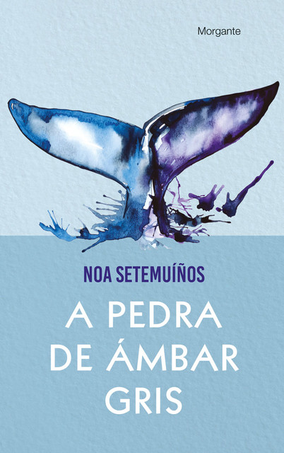 A pedra de ámbar gris, Noa Setemuíños