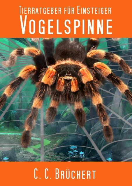 Tierratgeber für Einsteiger – Vogelspinne, C.C. Brüchert