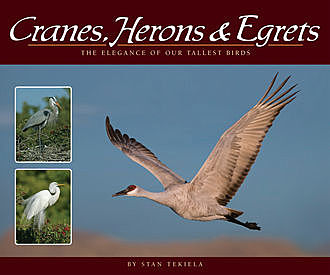 Cranes, Herons & Egrets, Stan Tekiela