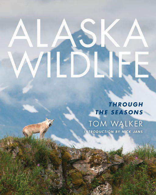 Alaska Wildlife, Tom Walker