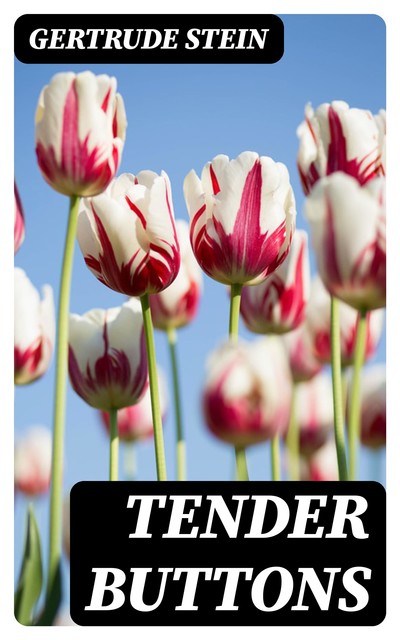 Tender Buttons, Gertrude Stein