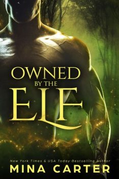 Owned by the Elf, Mina Carter
