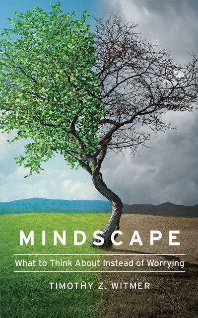 Mindscape, Timothy Z. Witmer