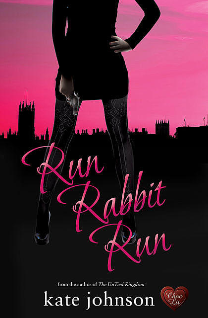 Run Rabbit Run, Kate Johnson