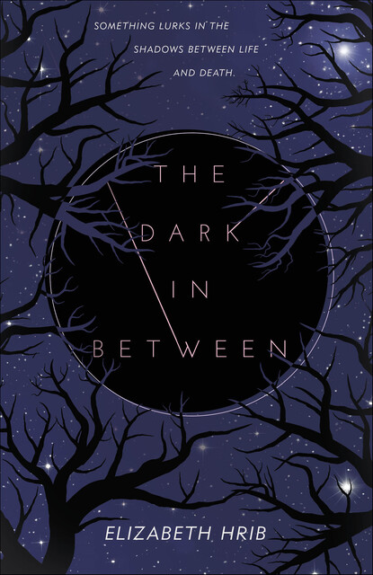 The Dark In Between, Elizabeth Hrib