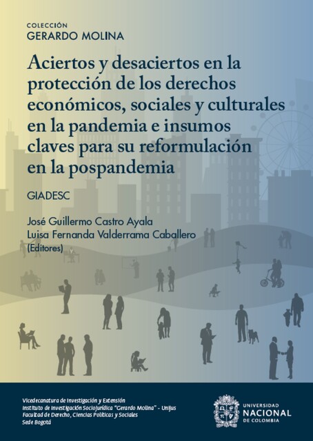 Aciertos y desaciertos en la protección de los derechos económicos sociales y culturales en la pandemia e insumos claves para su reformulación en la pospandemia, Michael Stöber, Diego Silva, Aura María Cárdenas Paulsen, Cristian Camilo Ochoa Guio, Joan Sebastián Mafla Reyes, Miguel Ángel Malagón Monroy, Sergio Casallas, Valderrama Caballero