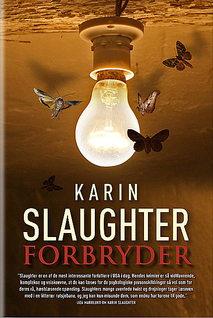 Forbryder, Karin Slaughter