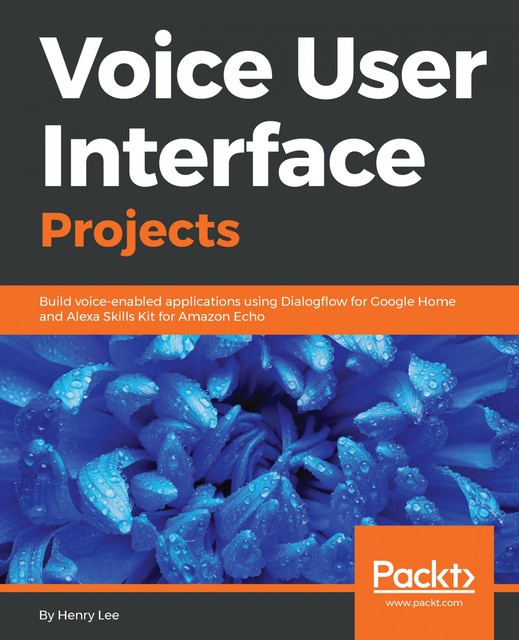 Voice User Interface Projects, Lee Henry