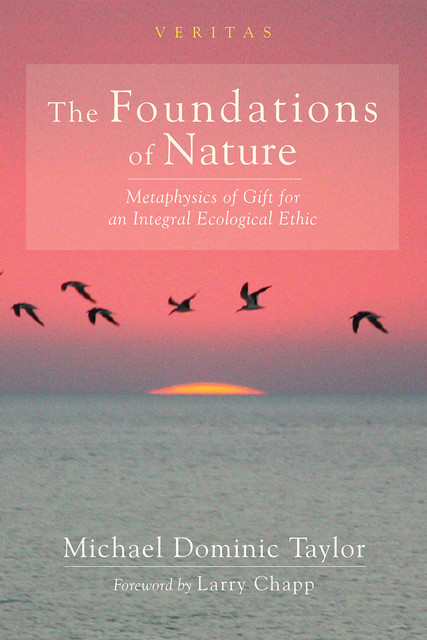 The Foundations of Nature, Michael Taylor