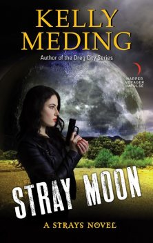 Stray Moon, Kelly Meding