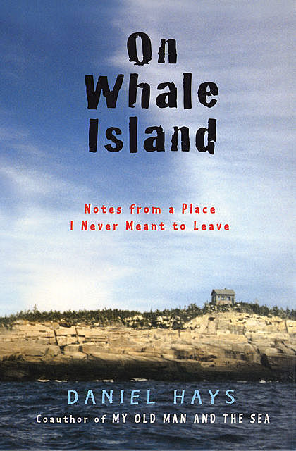 On Whale Island, Daniel Hays