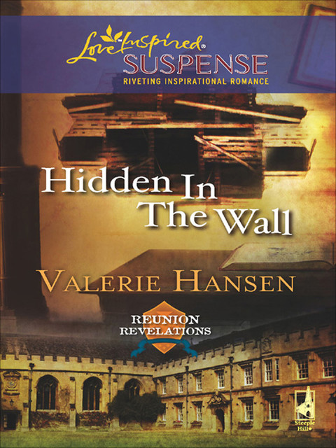 Hidden in the Wall, Valerie Hansen