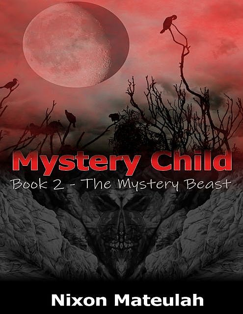 Mystery Child Book 2: The Mystery Beast, Nixon Mateulah