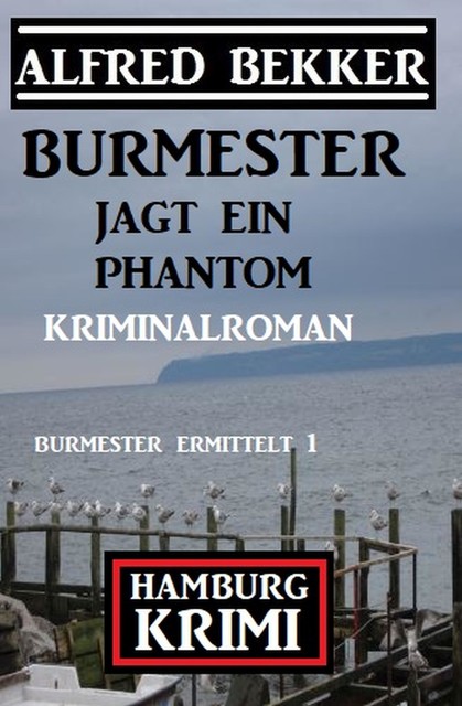 Burmester jagt ein Phantom: Hamburg Krimi: Burmester ermittelt 1, Alfred Bekker