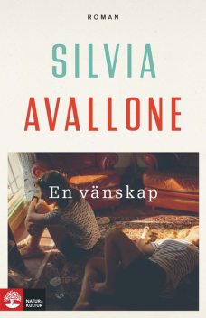 En vänskap, Silvia Avallone