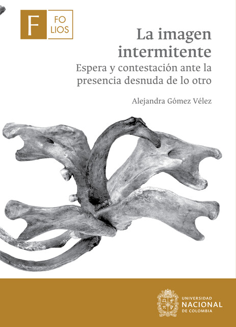 La imagen intermitente, Alejandra Gómez Vélez