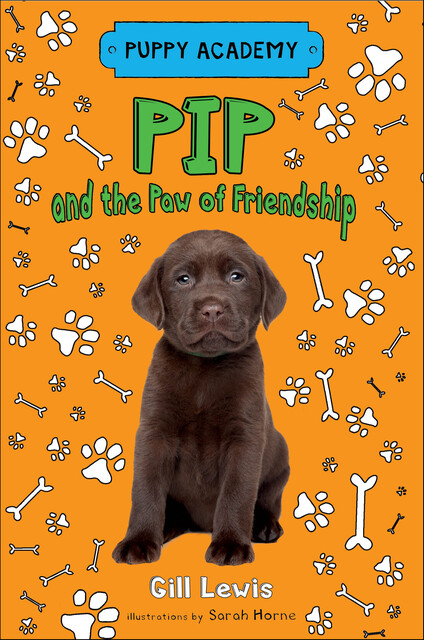 Pip and the Paw of Friendship, Gill Lewis