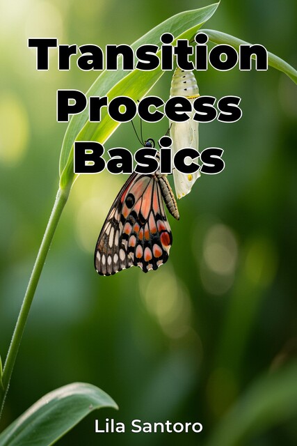 Transition Process Basics, Lila Santoro