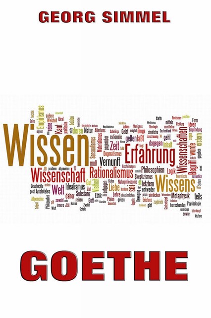 Goethe, Georg Simmel