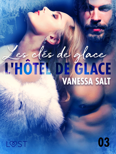 L'hôtel de glace 3 : Les clés de glace – une nouvelle érotique, Vanessa Salt