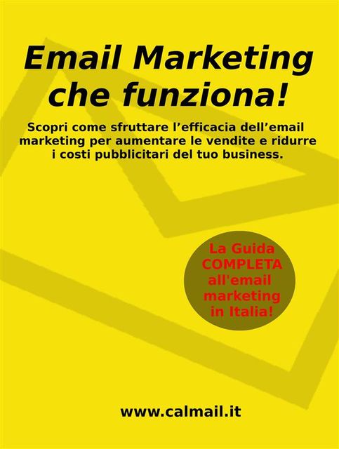 Email marketing che funziona. la guida che ti svela come utilizzare l'email marketing per aumentare le vendite e ridurre i costi del tuo business, Stefano Calicchio