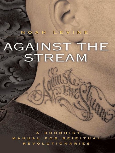 Against the Stream, Noah Levine