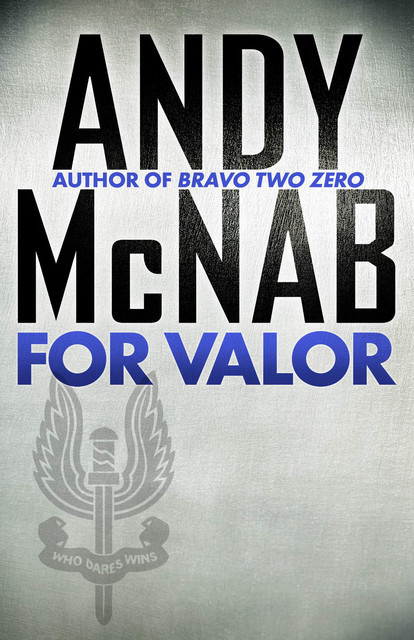 For Valour, Andy McNab