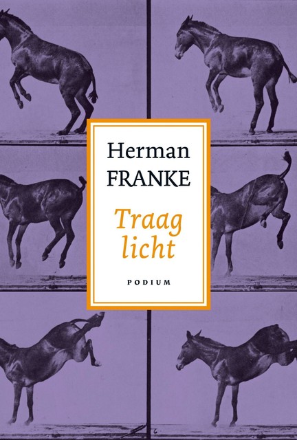 Traag licht, Herman Franke