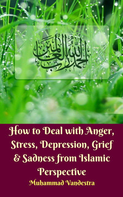How to Deal with Anger, Stress, Depression, Grief & Sadness from Islamic Perspective, Muhammad Vandestra