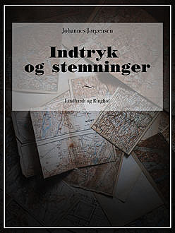 Indtryk og stemninger, Johannes Jørgensen