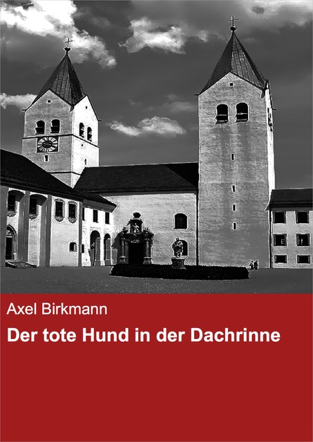 Der tote Hund in der Dachrinne, Axel Birkmann