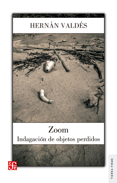 Zoom, Hernán Valdés