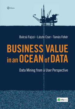 Business Value in an Ocean of Data, Bulcsú Fajszi, László Cser, Tamás Fehér